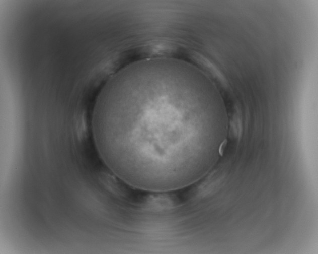 X0000113900520200909241440
