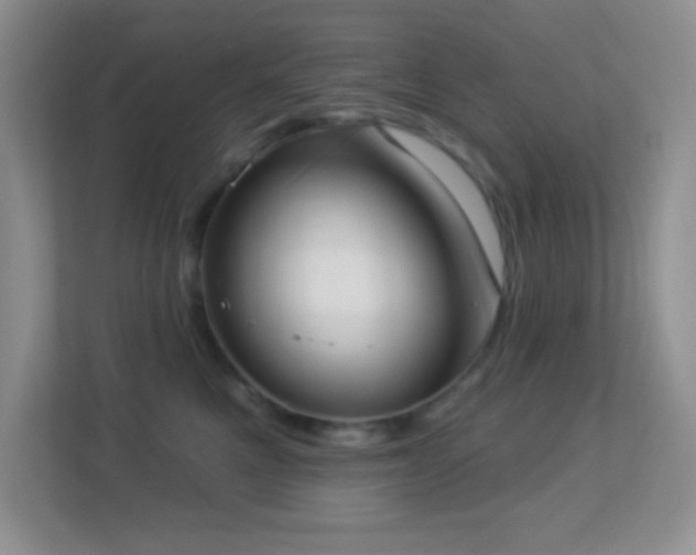 X0000113900521200909241440