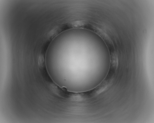 X0000113900523200909241440