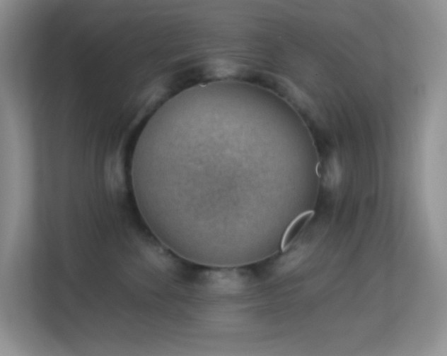 X0000113900524200909241440