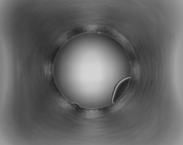X0000113900525200909241440