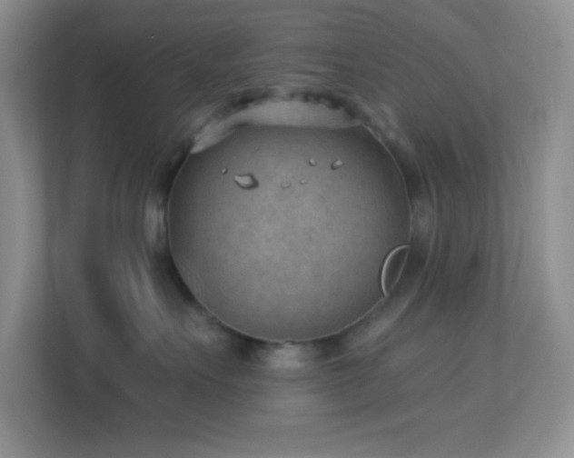 X0000113900527200909241440