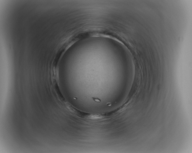 X0000113900528200909241440