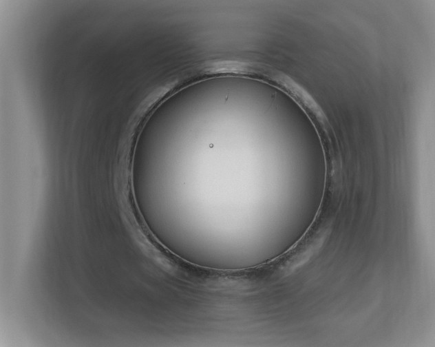 X0000113900529200909241439
