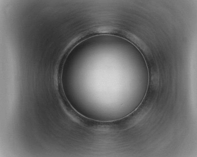 X0000113900530200909241439
