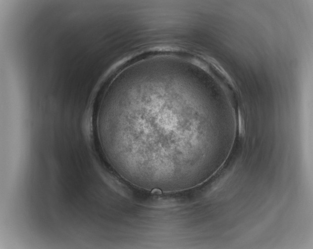 X0000113900531200909241439