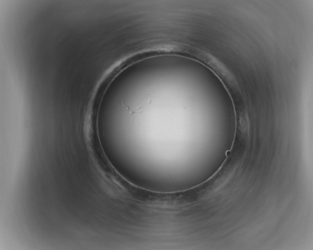 X0000113900532200909241439