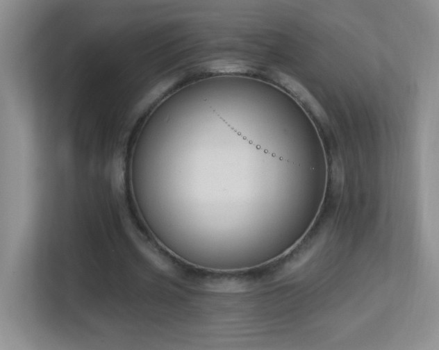 X0000113900533200909241439