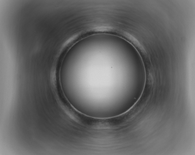 X0000113900535200909241439