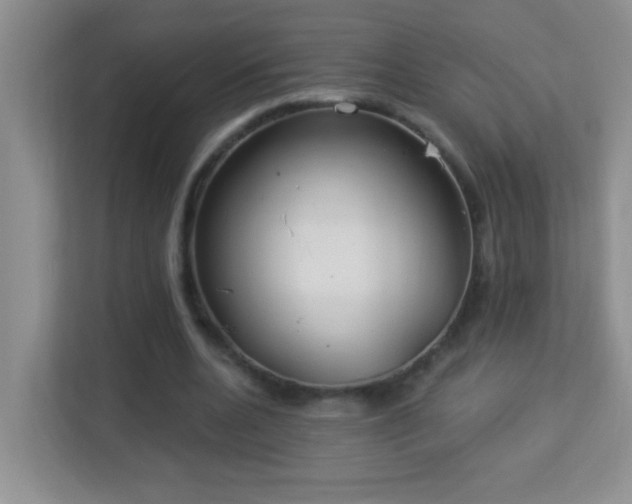 X0000113900536200909241439