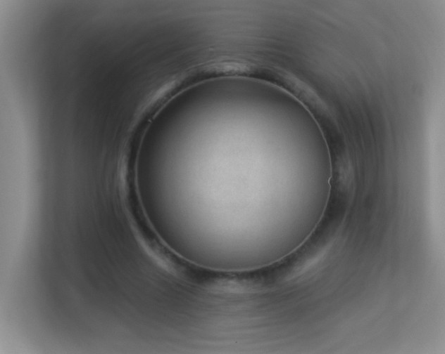 X0000113900538200909241439