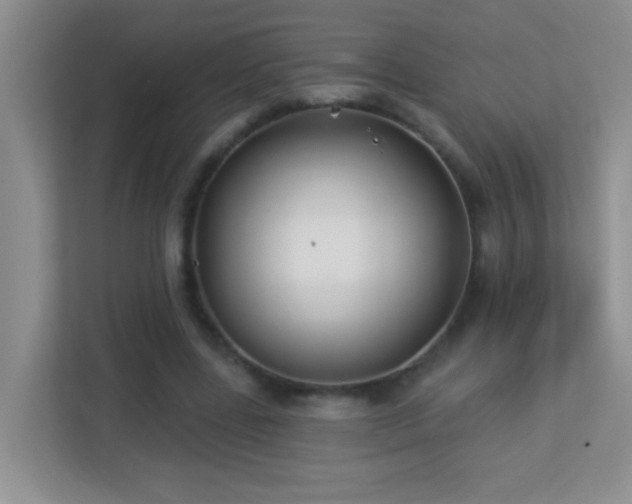 X0000113900539200909241439