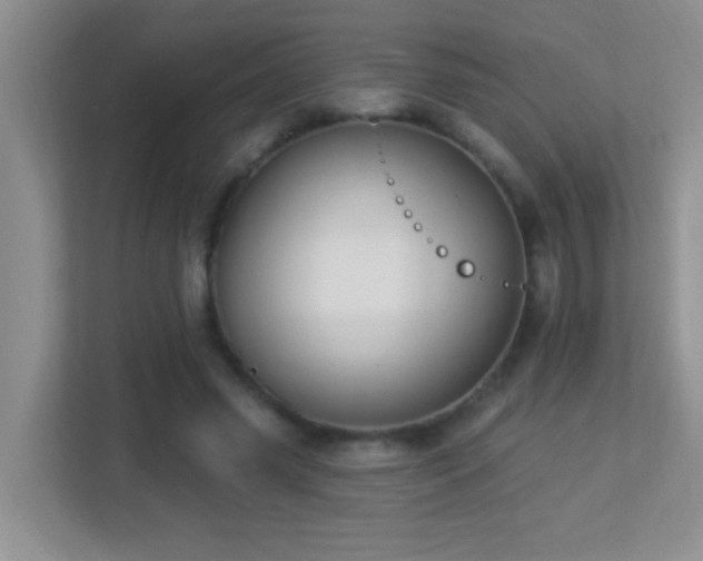 X0000113900541200909241439
