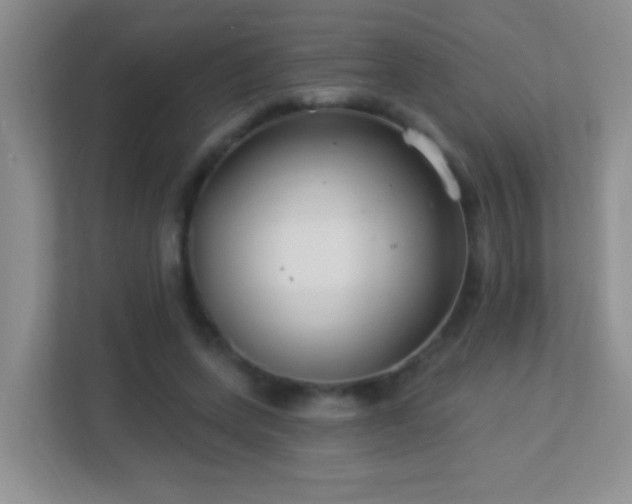 X0000113900543200909241439