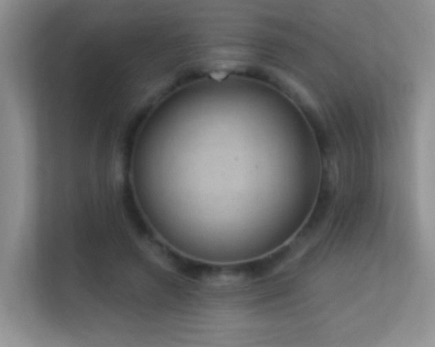 X0000113900546200909241439