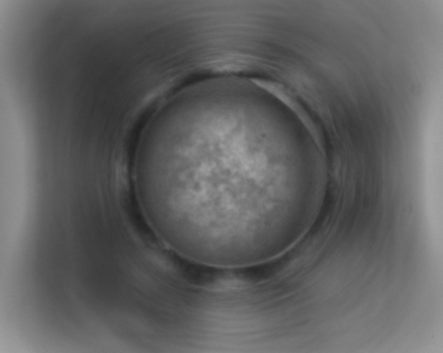 X0000113900547200909241439