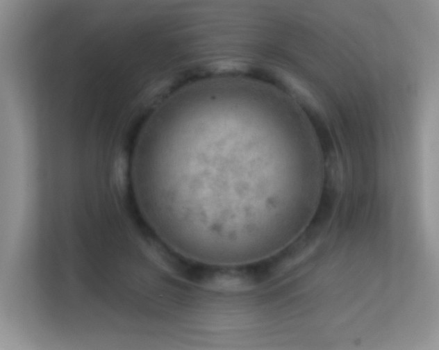 X0000113900550200909241439