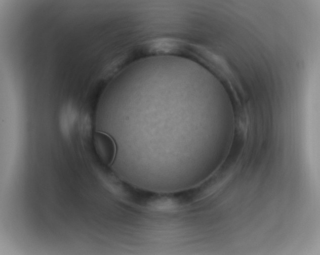 X0000113900551200909241439