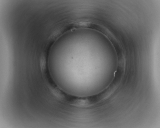 X0000113900552200909241439