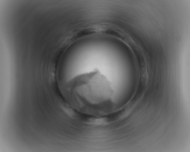 X0000113900553200909241439