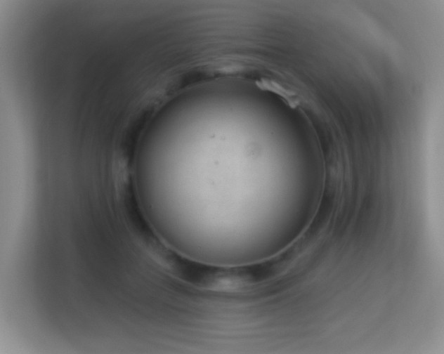 X0000113900555200909241439