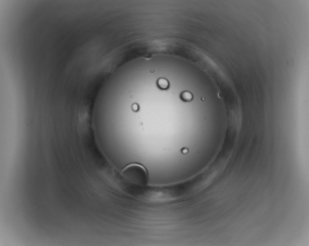 X0000113900557200909241439