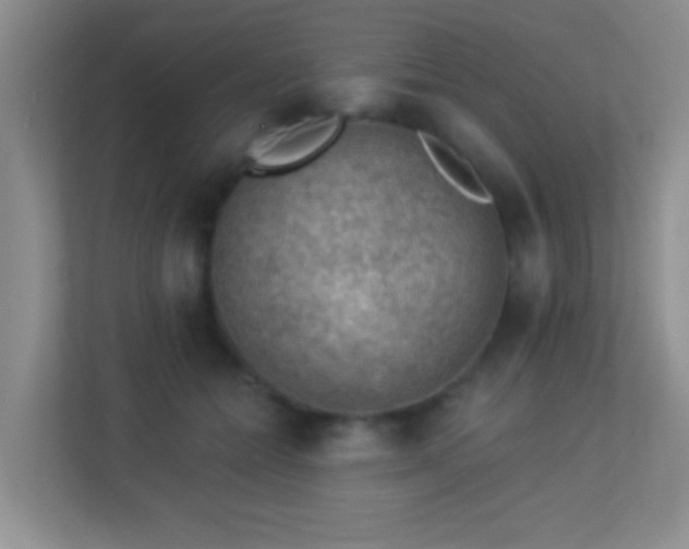 X0000113900558200909241439