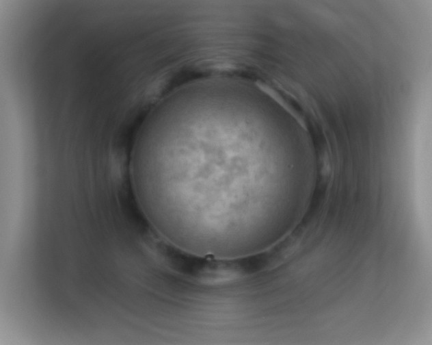 X0000113900559200909241439
