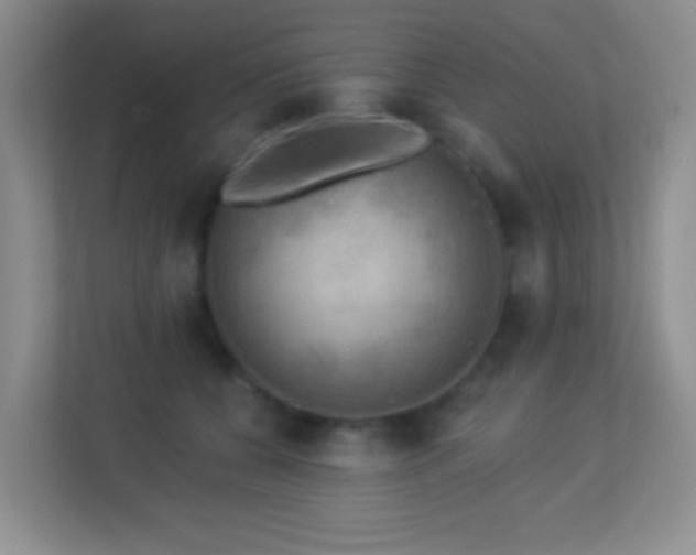 X0000113900560200909241439