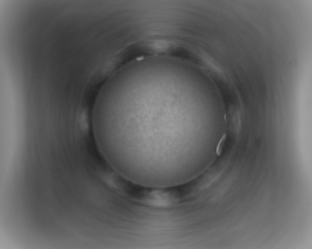 X0000113900562200909241439