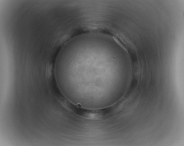 X0000113900563200909241439