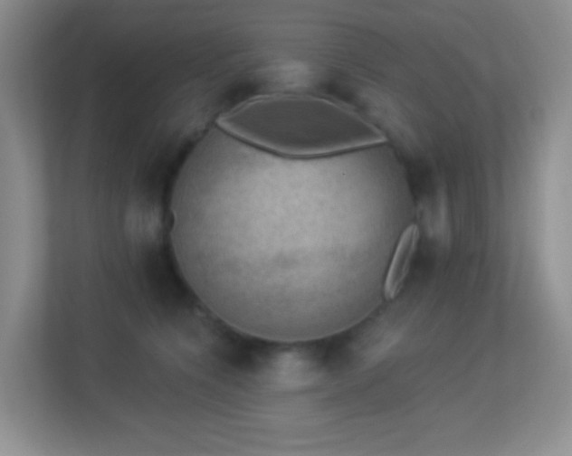 X0000113900564200909241439