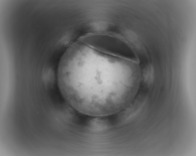 X0000113900568200909241439