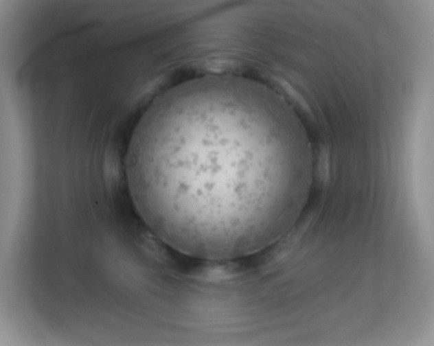 X0000113900569200909241439