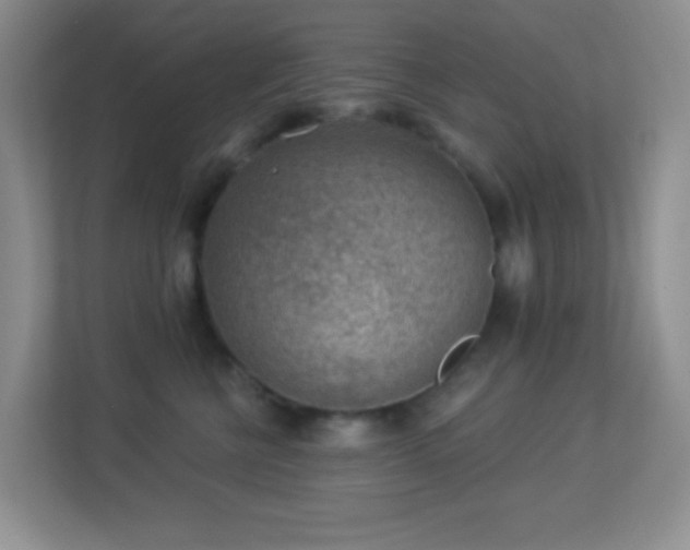 X0000113900570200909241440