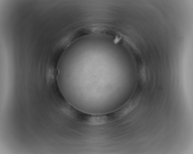 X0000113900571200909241440