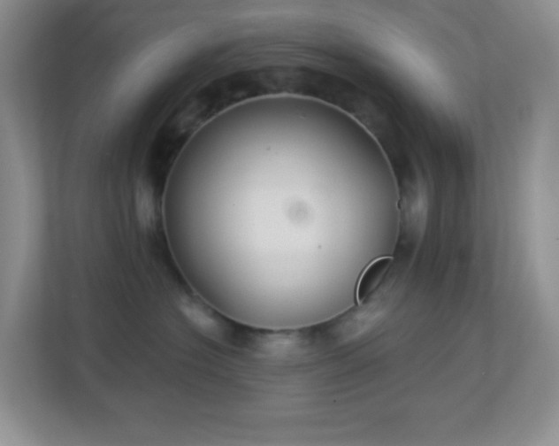 X0000113900574200909241440