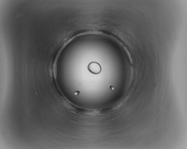 X0000113900576200909241440