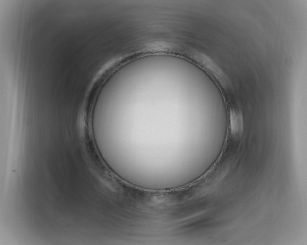 X0000113900579200909241439