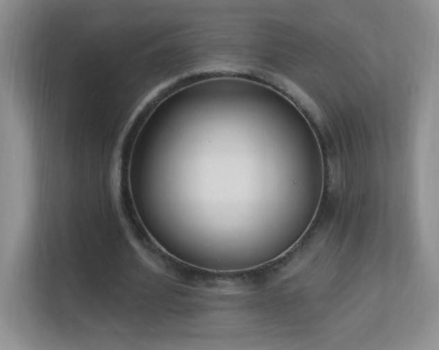 X0000113900580200909241439