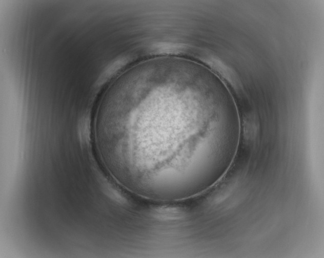 X0000113900581200909241439