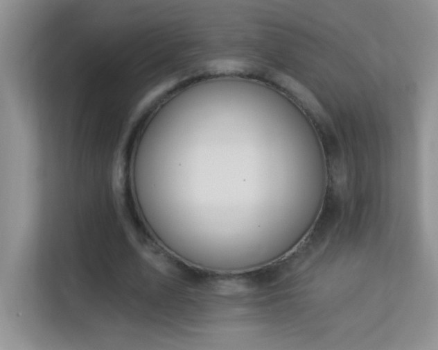 X0000113900583200909241439