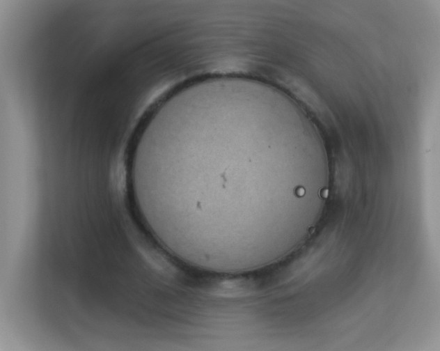 X0000113900584200909241439