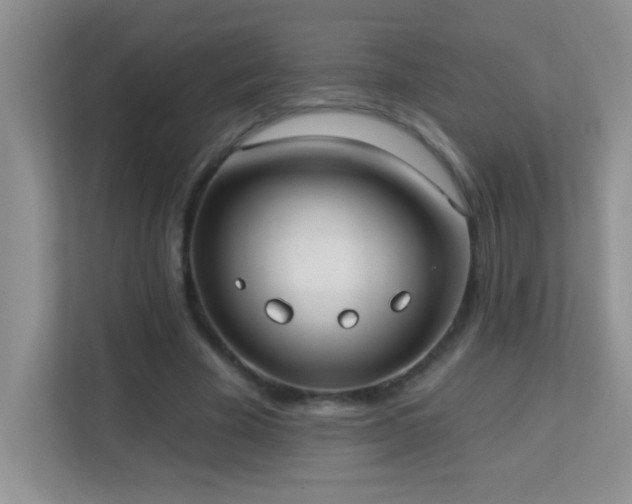 X0000113900585200909241439