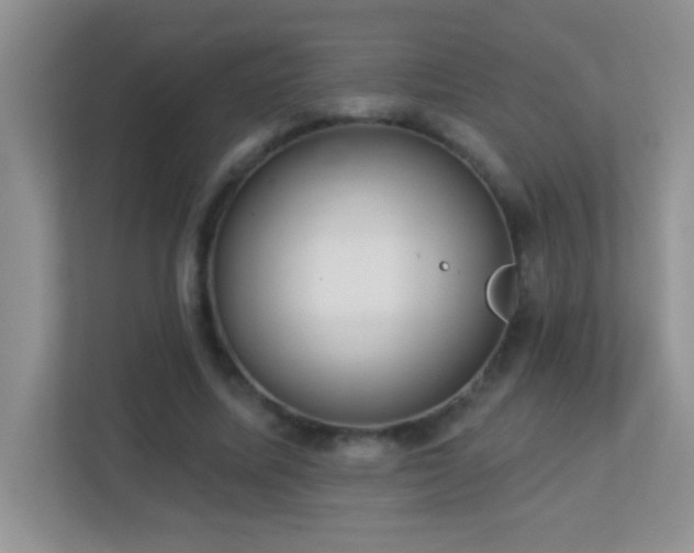 X0000113900587200909241439