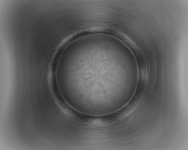 X0000113900588200909241439