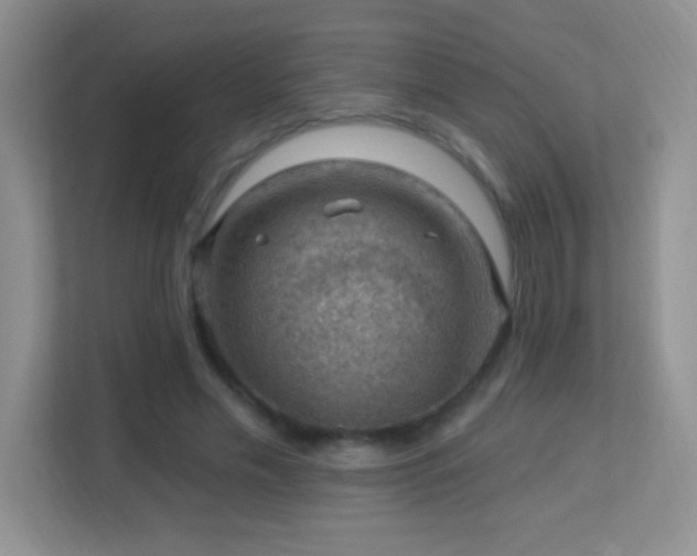 X0000113900589200909241439