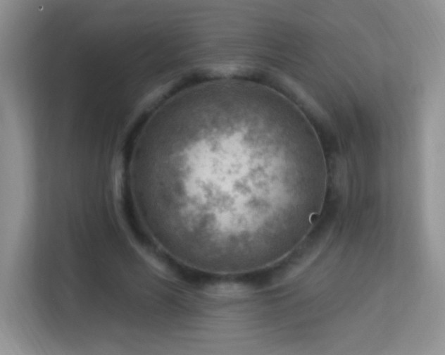 X0000113900590200909241439