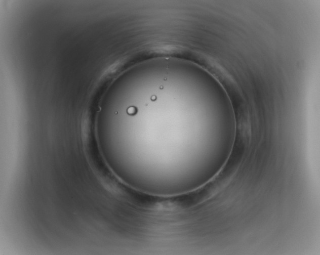 X0000113900591200909241439