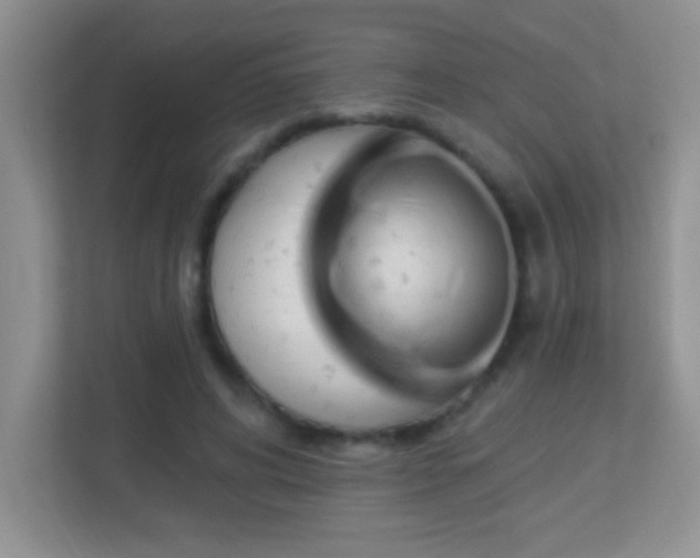 X0000113900592200909241439